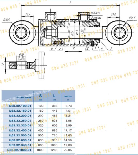 Гидроцилиндр 63.32.100.01 ВЗТА 63.32... фото